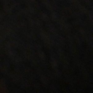 Meet your Posher, Patty ann